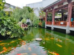 -香麒园·过桥米线·南湖雅宴