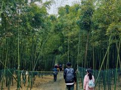 -同里国家湿地公园