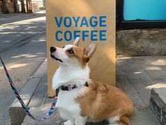 -VOYAGE COFFEE 咖啡烘焙工坊店(798艺术区店)