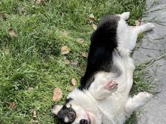 -星巴克(红房子店)