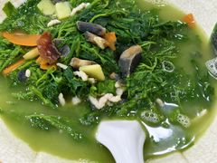 上汤桑叶-众源美食(光复阁店)