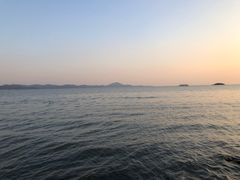 -上海市保健医疗中心