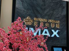 -英皇电影城(平安金融中心IMAX激光店)