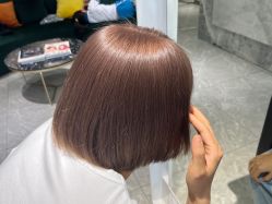 -爱维丽