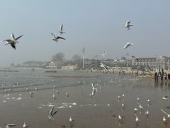 -老虎石海上公园