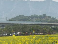 -光明小镇欢乐田园