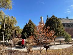 -张掖大佛寺景区