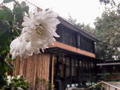 -乐领拈花溪·林涧食韵