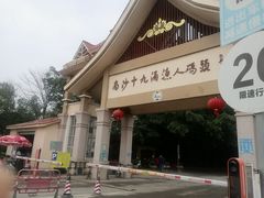 -大湾区中央湿地公园-十九涌