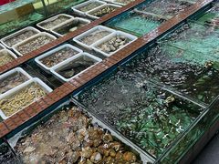 水产区-景好海鲜餐厅(大鹏必选旅游店)