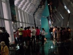 -上海环球金融中心云端足球盛典