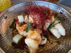 -Hi City·城市之巅