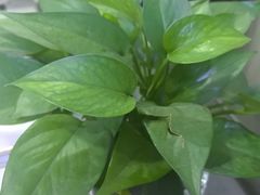 -张钰强中医正骨推拿连锁(华发商都店)