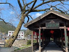 -鹿亭中村