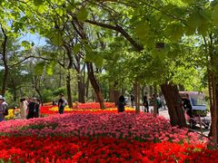 -沈阳植物园