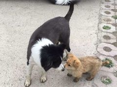 -淇河国家湿地公园