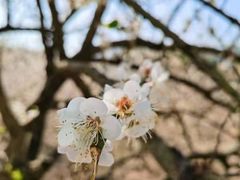 -福建天门山