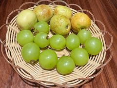 -欢乐蟹庄·精品农家乐(阳澄湖莲花岛店)