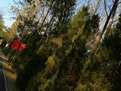 -合肥三国新城遗址公园