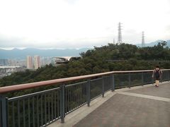 -金鸡山公园