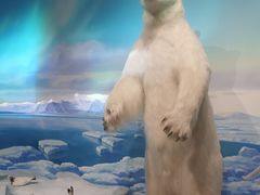 -陕西自然博物馆