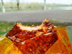 -艾溪湖湿地公园