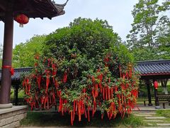 -桃花岛公园
