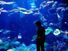 -暹罗海洋世界