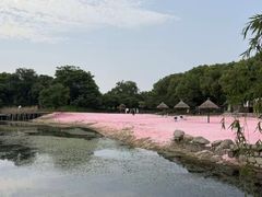 -上海杨姆庄园
