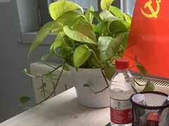 -北京华佳律师事务所(双井店)