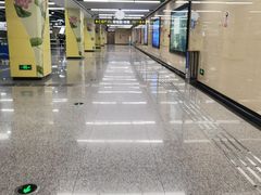 -杨柳河(地铁站)