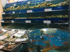 -海岛渔村大酒店(云霄路店)