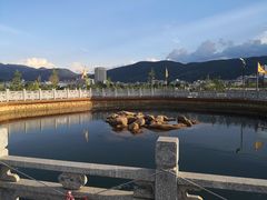 -大理地热国