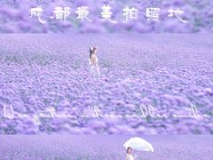 -紫颐香薰山谷景区