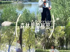 -郑州植物园