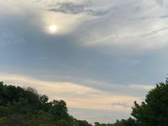 -同里国家湿地公园