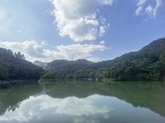 -广州白江湖森林公园