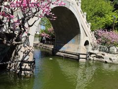 -团结湖公园