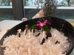 -纯味斑鱼府(中海环宇荟店)