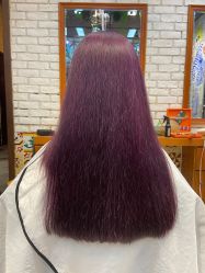 -T.1 hair salon烫染接发