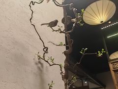 -翡翠江南(国贸商城店)