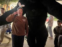 -七彩云南欢乐世界