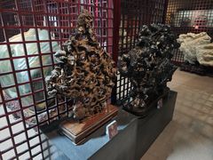 -烟台自然博物馆
