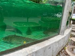 -天怡·鱼工厂(梅溪湖店)