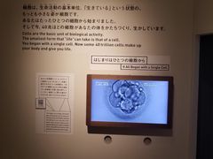 -日本科学未来馆