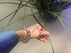 -绿茶餐厅(汇悦大融城店)