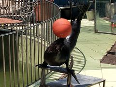-昆明动物园