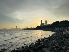 -深圳湾公园(南山区)