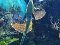 -石家庄海洋公园