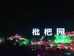 -枇杷园食为鲜火锅(南山店)